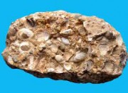 Свойства и применение известняка Свойства и применение известняка