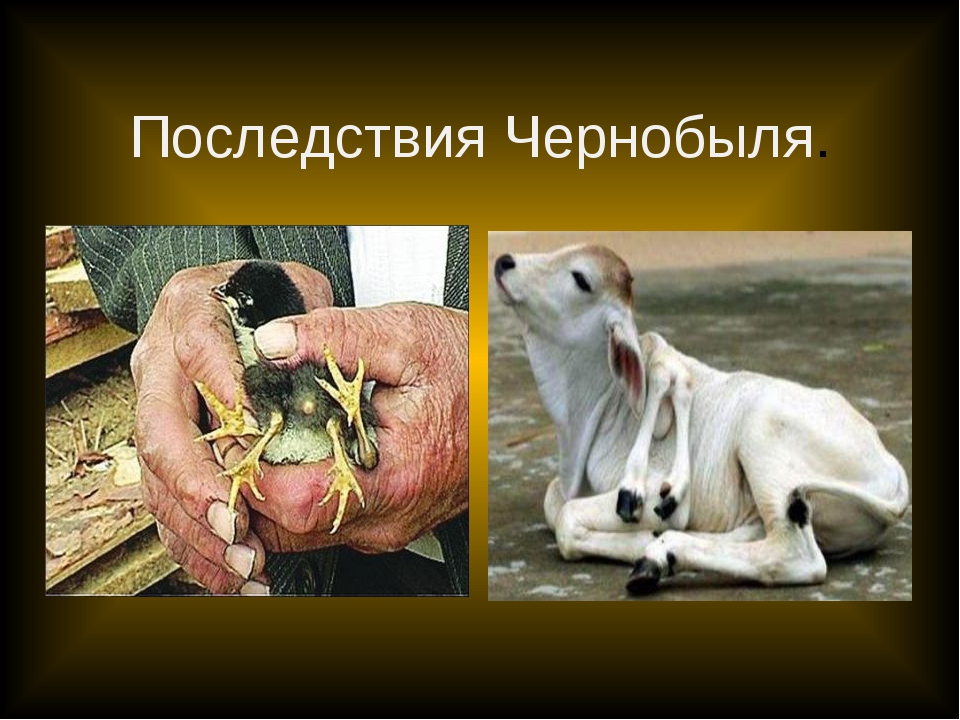 Последствия радиоактивного загрязнения