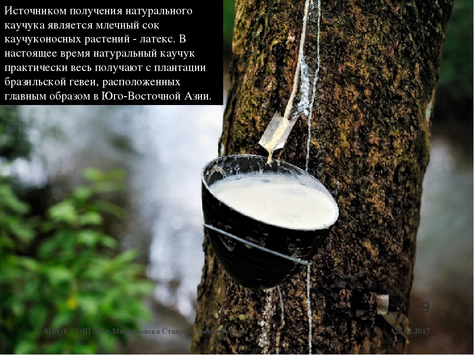 Природный каучук