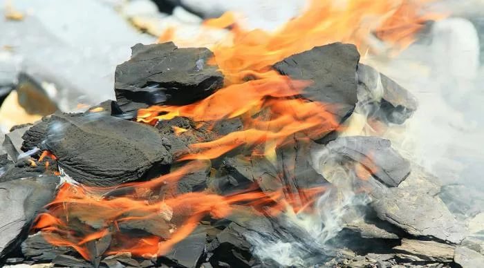 Горючий сланец Фото горючего сланца