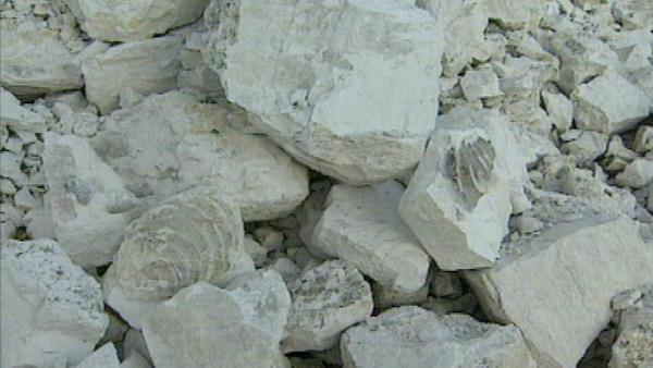 Фото горной породы известняка
