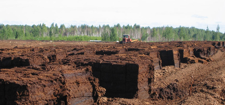 Месторождения торфа Фото месторждений торфа
