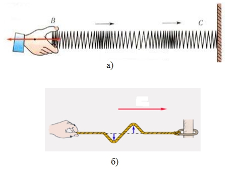 Продольные и поперечные волны Продольные и поперечные волны