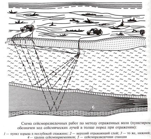 Схема сейсморазведочных работ Схема сейсморазведочных работ