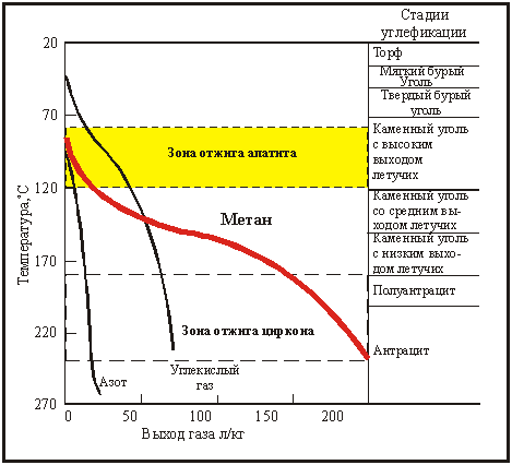 Схема стадий углефикации
