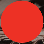 BLACH-TECH-EXPO 2017